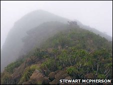 Филиппины, гора Виктория на острове Палаван. Здесь был найден новый вид непентеса.