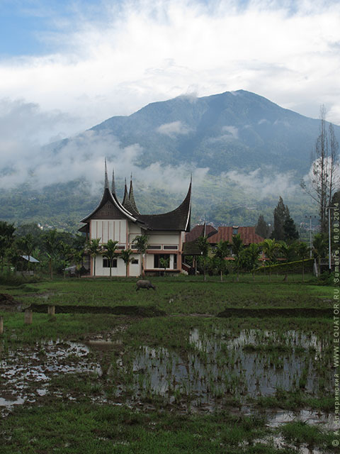 Дома минангкабау, Суматра