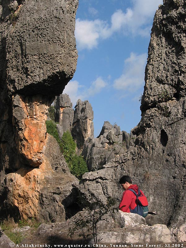   .     (Stone forest)   (Yunnan).  .