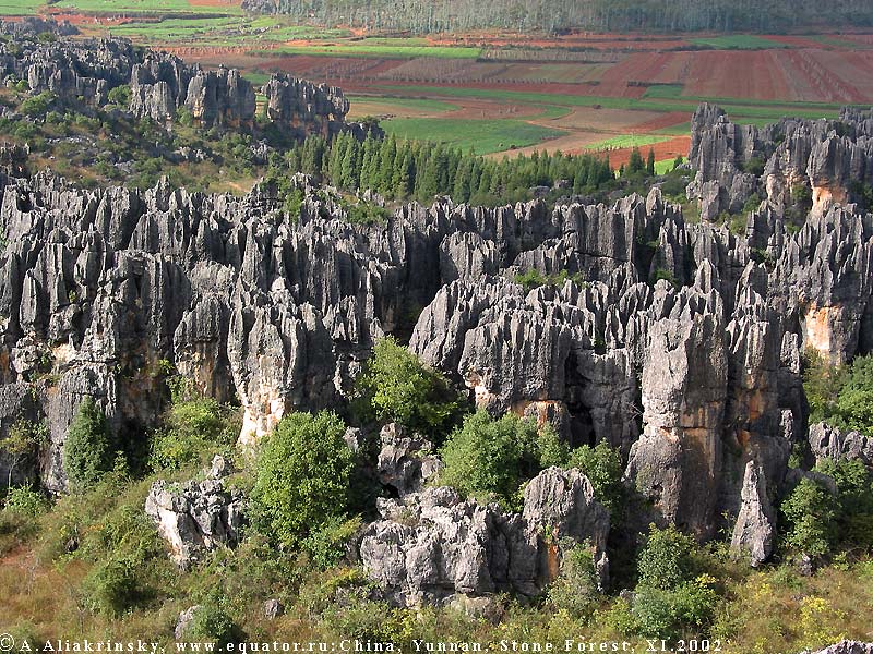   .     (Stone forest)   (Yunnan).  .