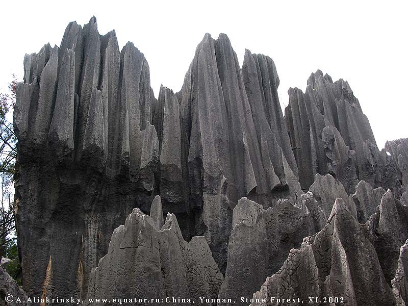   .     (Stone forest)   (Yunnan). ,  , .