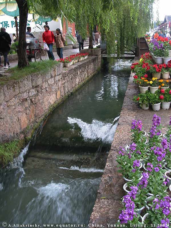 .    .   .    (Lijiang),  .   .