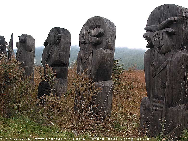     (Dongba Museum).   .   ,  .     . 