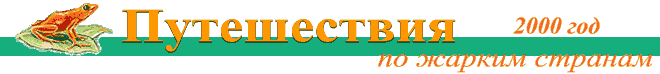    , 2000 