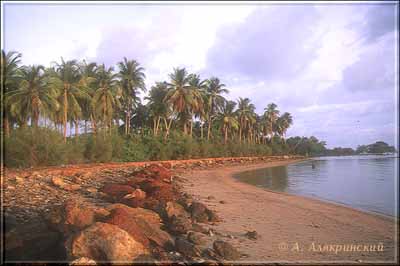 98palmbeach.jpg (21186 bytes)