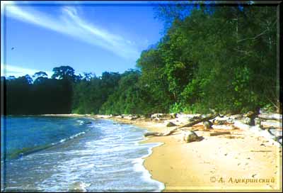 1999beach.jpg (22817 bytes)