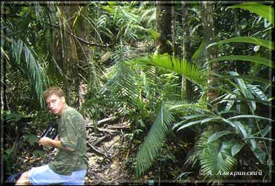 1999jungles.jpg (36793 bytes)