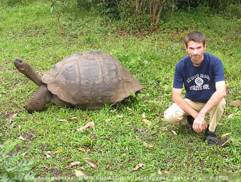 http://www.equator.ru/photo/2005_galapagos_2/galapagos_and_-me_IMG_2588n.jpg